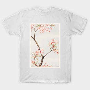 Flower painting, Sakura cherry during 1870–1880 by Megata Morikaga T-Shirt